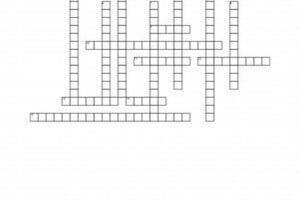 Test Your Fitness: Free Crossword Puzzle | Physical Health & Fitness – Boost Your Body, Energy, and Wellbeing