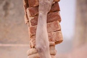 Guide to Physical Geography Lab Manual (12th Ed.) Answers | Physical Health & Fitness – Boost Your Body, Energy, and Wellbeing