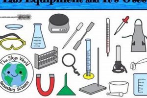 Physical Science With Lab | Physical Health & Fitness – Boost Your Body, Energy, and Wellbeing