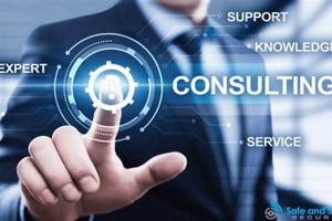 Top Physical Security Consultants: Expert Protection | Physical Health & Fitness – Boost Your Body, Energy, and Wellbeing