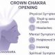 Crown Chakra Opening: 6 Physical Signs & Symptoms | Physical Health & Fitness – Boost Your Body, Energy, and Wellbeing