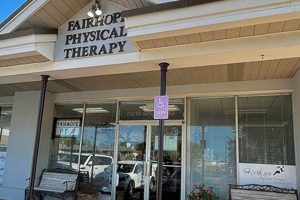 Top Fairhope Physical Therapy Clinics & Experts | Physical Health & Fitness – Boost Your Body, Energy, and Wellbeing