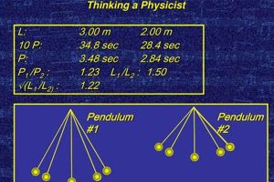 Physics 1251 | Physical Health & Fitness – Boost Your Body, Energy, and Wellbeing