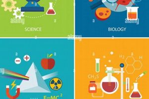 Exploring Physics, Biology & Chemistry: A Deep Dive Physical Health & Fitness – Boost Your Body, Energy, and Wellbeing Exploring Physics, Biology & Chemistry: A Deep Dive | Physical Health & Fitness – Boost Your Body, Energy, and Wellbeing