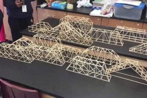 Build a Physics Bridge: Project Guide Physical Health & Fitness – Boost Your Body, Energy, and Wellbeing Build a Physics Bridge: Project Guide | Physical Health & Fitness – Boost Your Body, Energy, and Wellbeing