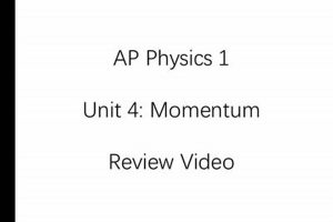 AP Physics 1: Momentum Review & Practice Physical Health & Fitness – Boost Your Body, Energy, and Wellbeing AP Physics 1: Momentum Review & Practice | Physical Health & Fitness – Boost Your Body, Energy, and Wellbeing