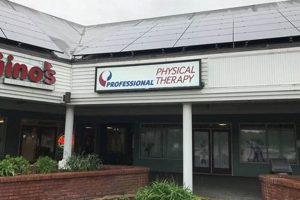 Best Physical Therapy Cape Cod MA | Find Expert PT | Physical Health & Fitness – Boost Your Body, Energy, and Wellbeing