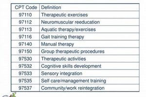 Complete Guide to Physical Therapy Coding 2024 | Physical Health & Fitness – Boost Your Body, Energy, and Wellbeing