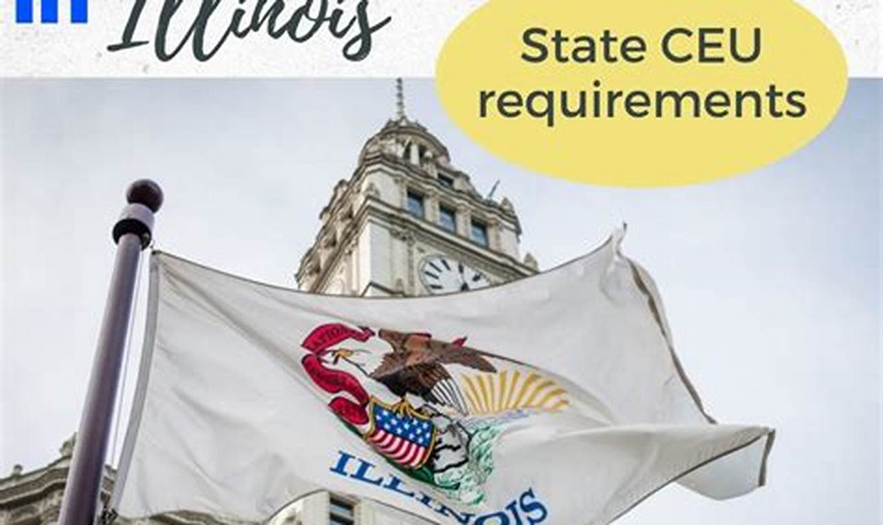 Top Physical Therapy Colleges in Illinois Guide | Physical Health & Fitness – Boost Your Body, Energy, and Wellbeing