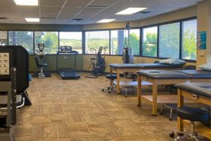 Best Physical Therapy in Cranberry Township, PA | Physical Health & Fitness – Boost Your Body, Energy, and Wellbeing