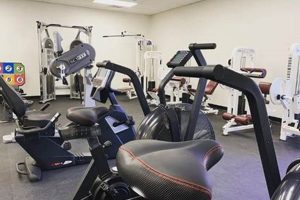 Best Physical Therapy Downtown: Expert Care | Physical Health & Fitness – Boost Your Body, Energy, and Wellbeing