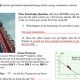 Exploring Roller Coaster Physics: A Student's Guide | Physical Health & Fitness – Boost Your Body, Energy, and Wellbeing