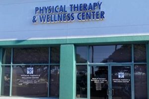 Best Maui Physical Therapy: Top Clinics & Care | Physical Health & Fitness – Boost Your Body, Energy, and Wellbeing
