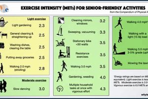 METs Physical Therapy: A Guide to Exercise Intensity | Physical Health & Fitness – Boost Your Body, Energy, and Wellbeing