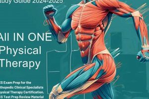 Understanding OCS: Physical Therapy in Outpatient Clinics | Physical Health & Fitness – Boost Your Body, Energy, and Wellbeing