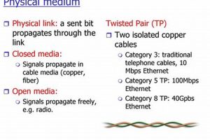 Understanding Physical Mediums & Their Importance | Physical Health & Fitness – Boost Your Body, Energy, and Wellbeing