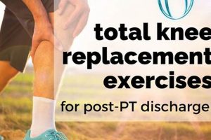 Your Health After Physical Exam: Next Steps Physical Health & Fitness – Boost Your Body, Energy, and Wellbeing Your Health After Physical Exam: Next Steps | Physical Health & Fitness – Boost Your Body, Energy, and Wellbeing