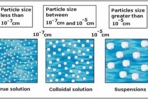 Understanding Liquid Suspensions: Properties & Applications Physical Health & Fitness – Boost Your Body, Energy, and Wellbeing Understanding Liquid Suspensions: Properties & Applications | Physical Health & Fitness – Boost Your Body, Energy, and Wellbeing