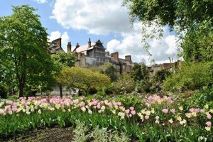 Grow Your Own: A Guide to Garden Physic | Physical Health & Fitness – Boost Your Body, Energy, and Wellbeing