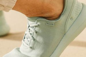 Best Physical Therapy Shoes for Recovery & Rehab | Physical Health & Fitness – Boost Your Body, Energy, and Wellbeing