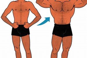 Maximize Your Physical Growth Potential | Physical Health & Fitness – Boost Your Body, Energy, and Wellbeing