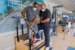 Top Physical Therapy in Glen Cove, NY | Physical Health & Fitness – Boost Your Body, Energy, and Wellbeing