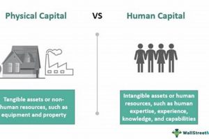 Unlocking Value: Human vs. Physical Capital | Physical Health & Fitness – Boost Your Body, Energy, and Wellbeing