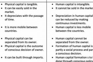Key Differences: Physical vs. Human Capital Explained | Physical Health & Fitness – Boost Your Body, Energy, and Wellbeing