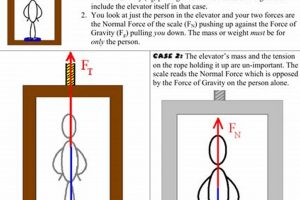 Solving Elevator Physics Problems: A Guide Physical Health & Fitness – Boost Your Body, Energy, and Wellbeing Solving Elevator Physics Problems: A Guide | Physical Health & Fitness – Boost Your Body, Energy, and Wellbeing