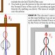 Solving Elevator Physics Problems: A Guide | Physical Health & Fitness – Boost Your Body, Energy, and Wellbeing