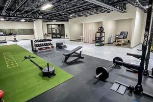 Best Physical Therapy in Mt Pleasant MI: Top Clinics | Physical Health & Fitness – Boost Your Body, Energy, and Wellbeing