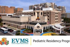 Top EVMS Physical Medicine & Rehab Experts | Physical Health & Fitness – Boost Your Body, Energy, and Wellbeing