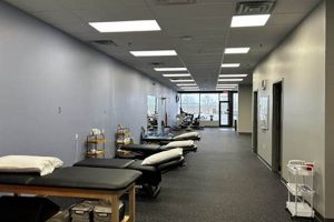 Best Physical Therapy in Novi, MI | Expert Care Physical Health & Fitness – Boost Your Body, Energy, and Wellbeing Best Physical Therapy in Novi, MI | Expert Care | Physical Health & Fitness – Boost Your Body, Energy, and Wellbeing