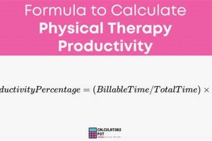 Boost PT Productivity with Our Calculator | Physical Health & Fitness – Boost Your Body, Energy, and Wellbeing